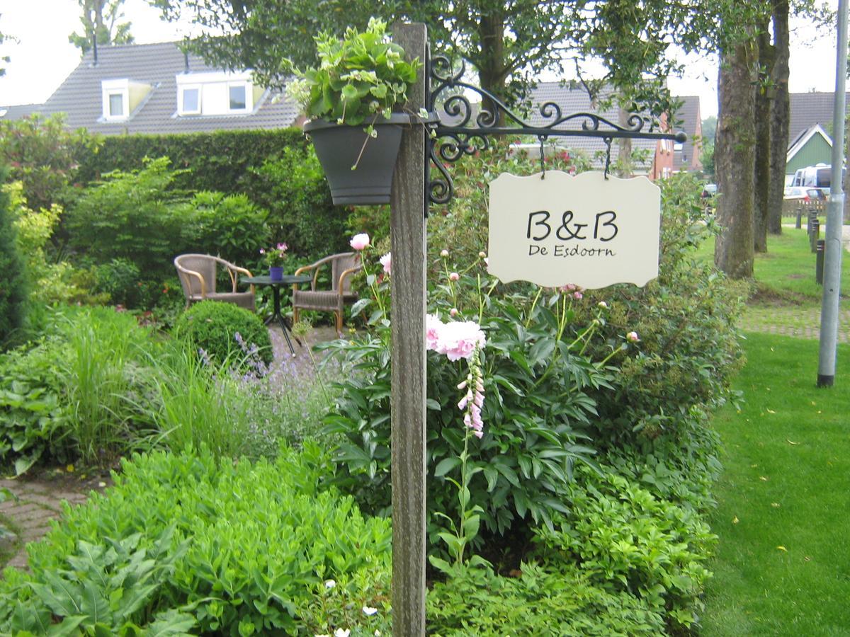 B&B De Esdoorn Norg Dış mekan fotoğraf